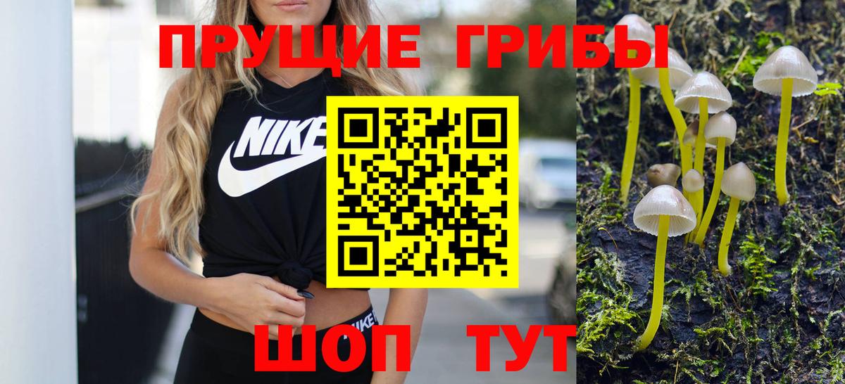 Псилоцибиновые грибы GOLDEN TEACHER  Вход с VPN  купить наркотики цена  Алатырь 