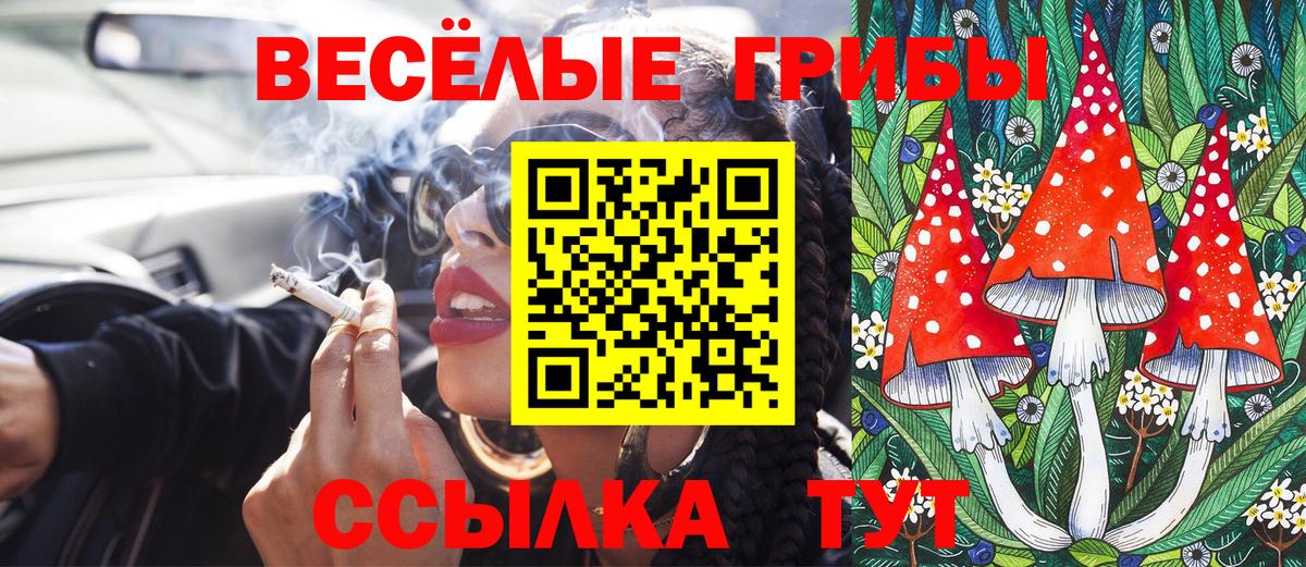Псилоцибиновые грибы ЛСД Алатырь